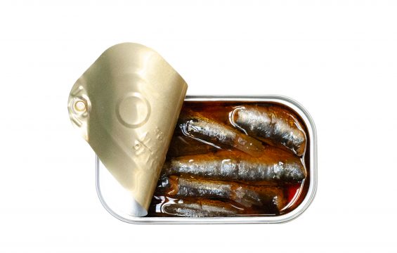 José Gourmet Spiced Small Sardines in Oil (4.4 oz.)