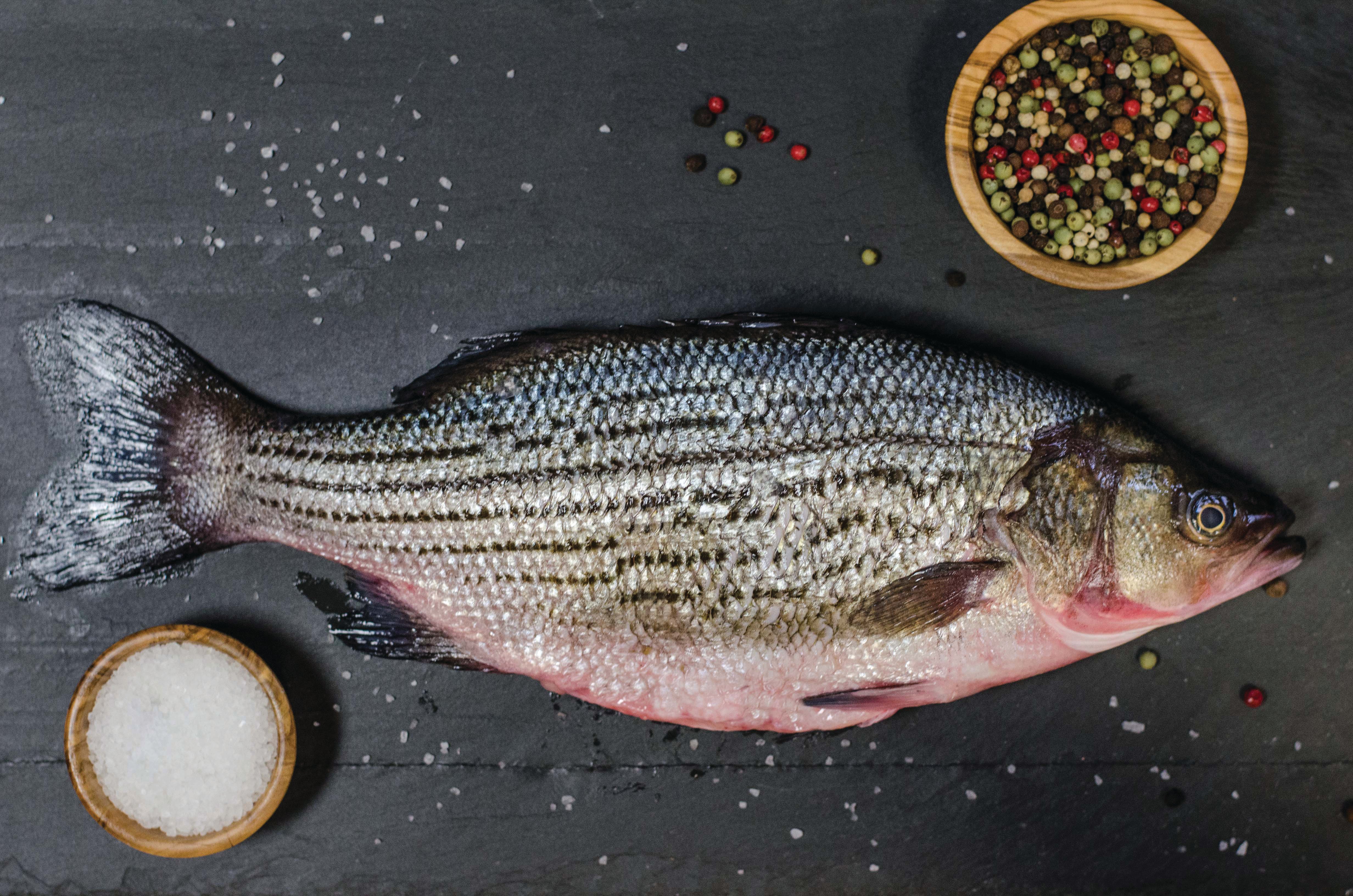 Fresh Hybrid Striped Bass (Whole) - Chef's Fresh Fish