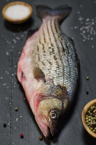 Fresh Hybrid Striped Bass (Whole) - Chef's Fresh Fish