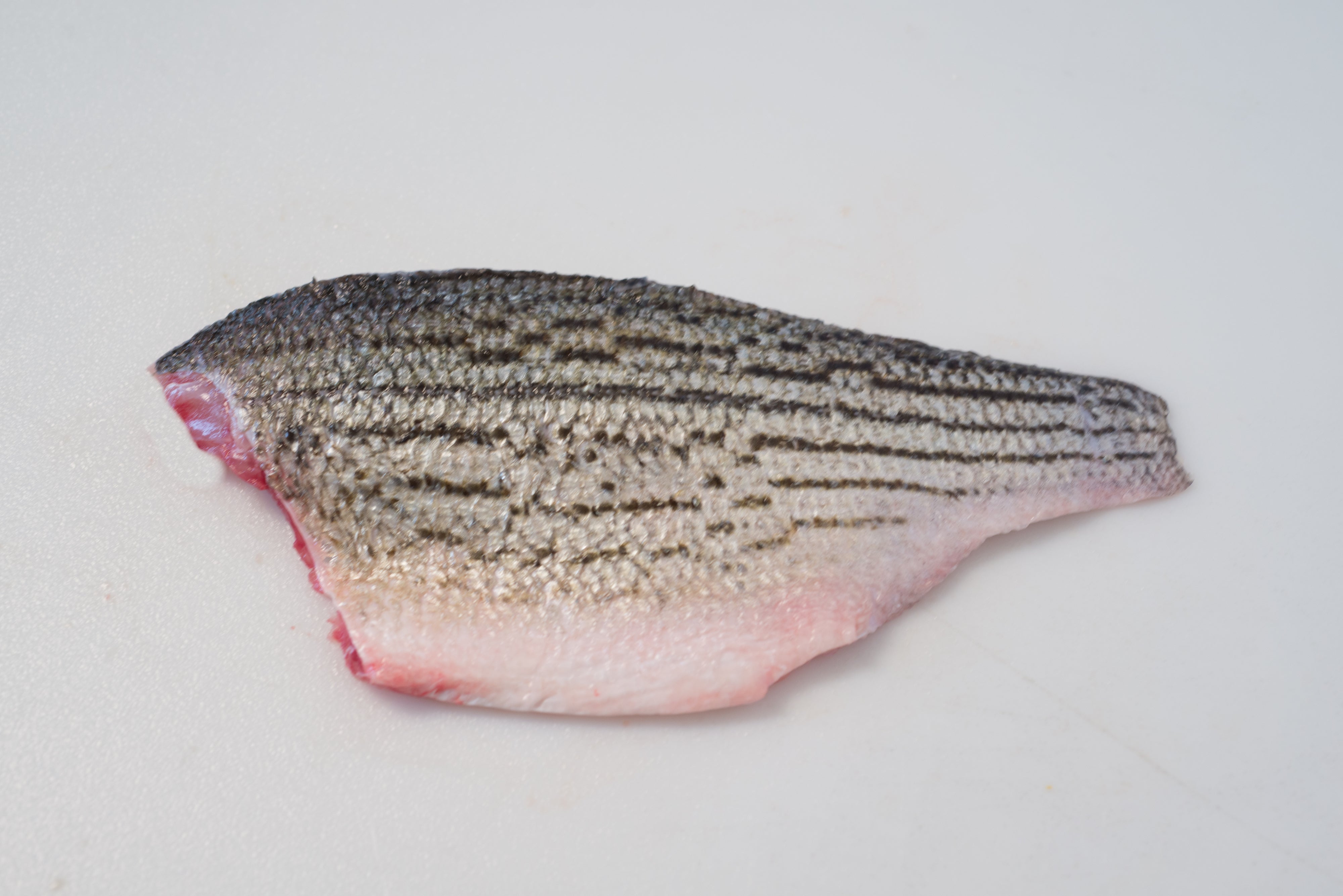 Fresh Hybrid Striped Bass (Filet) - Chef's Fresh Fish